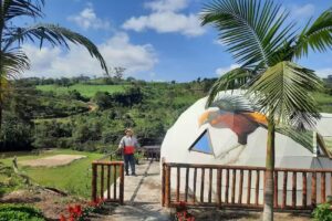 PROXIMO DOMINGO Hostal