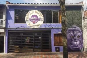 Purple Monkey Hostel