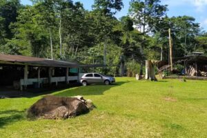 Qu&eacute; hacer en Caquet&aacute; &ndash; Reserva Natural Y Ecoturistica La Avispa