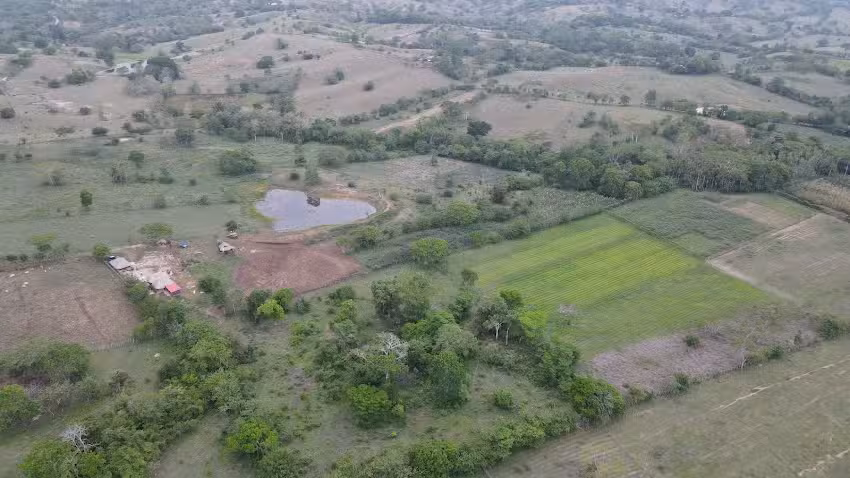 Rancho caracol&iacute;