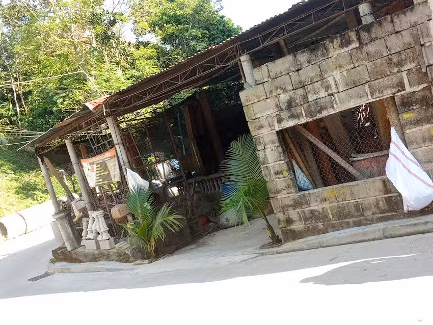 Remedios