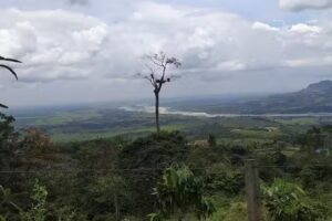 Reserva Natural Las Palmeras