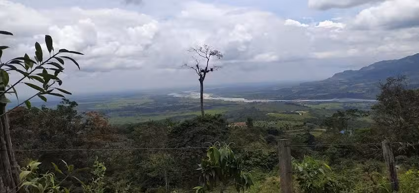 Reserva Natural Las Palmeras
