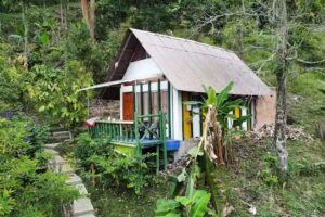 Reserva Natural Las Violetas