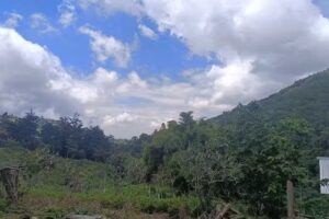 Reserva Natural Penjamo