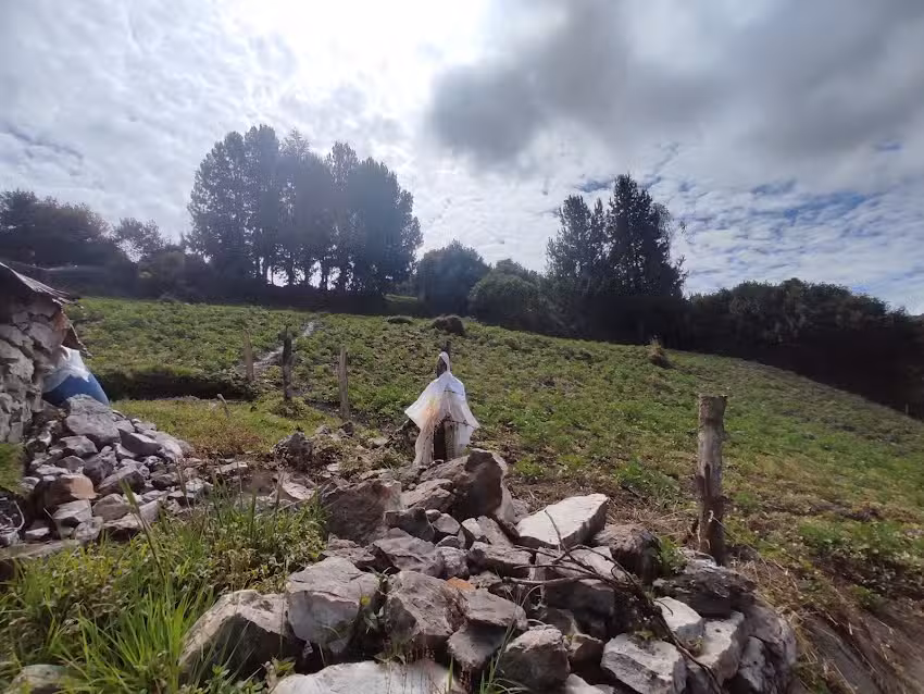 Reserva Natural Santa Helena, Ci&eacute;nega, Boyac&aacute;.