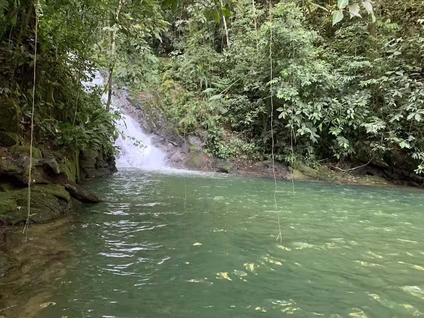 Reserva Natural y Ecotur&iacute;stica Las Palmas