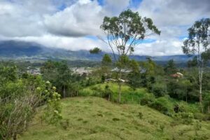 Reserva Natutal La Ceiba