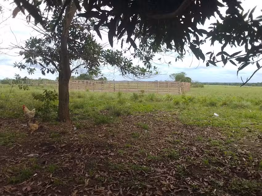 Resguardo ind&iacute;gena florida kawinanae