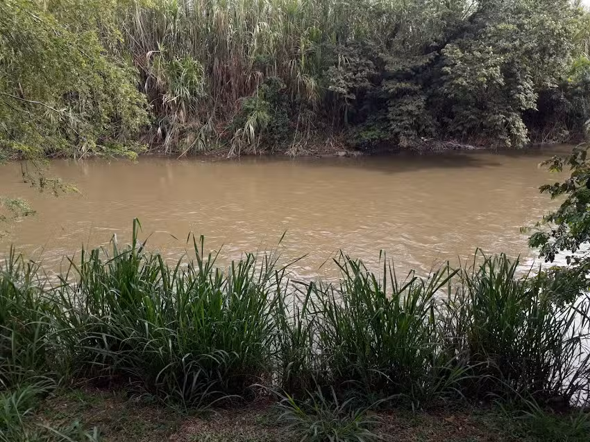 Residencia Guadalupe