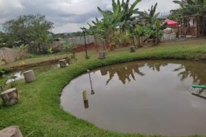 Restaurante Caba&ntilde;as Pesca Deportiva en el Lago Calima-Manantial Dale Gusto a Tu Paladar