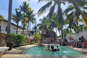 Rincon de las palmeras