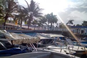 Saad & Ripa’s Nest