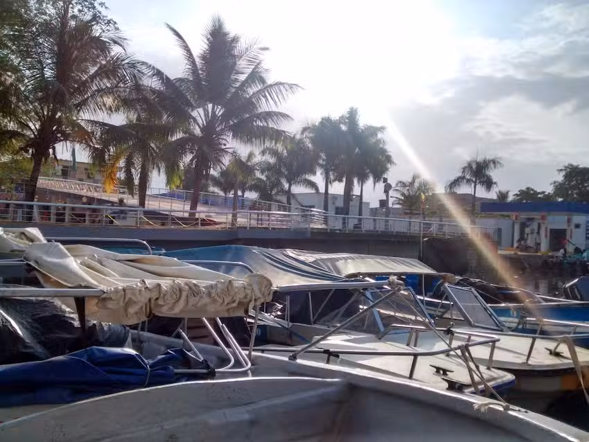 Saad & Ripa&rsquo;s Nest