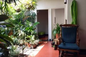 Sam&aacute;n Hostel Medell&iacute;n