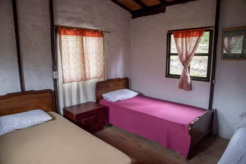 Spanish course medellin, Yoga, Meditation, Vegan cooking course, Vegan restaurant, salsa dancing class