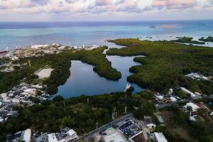 Sukha Hippocampus San Andr&eacute;s Isla