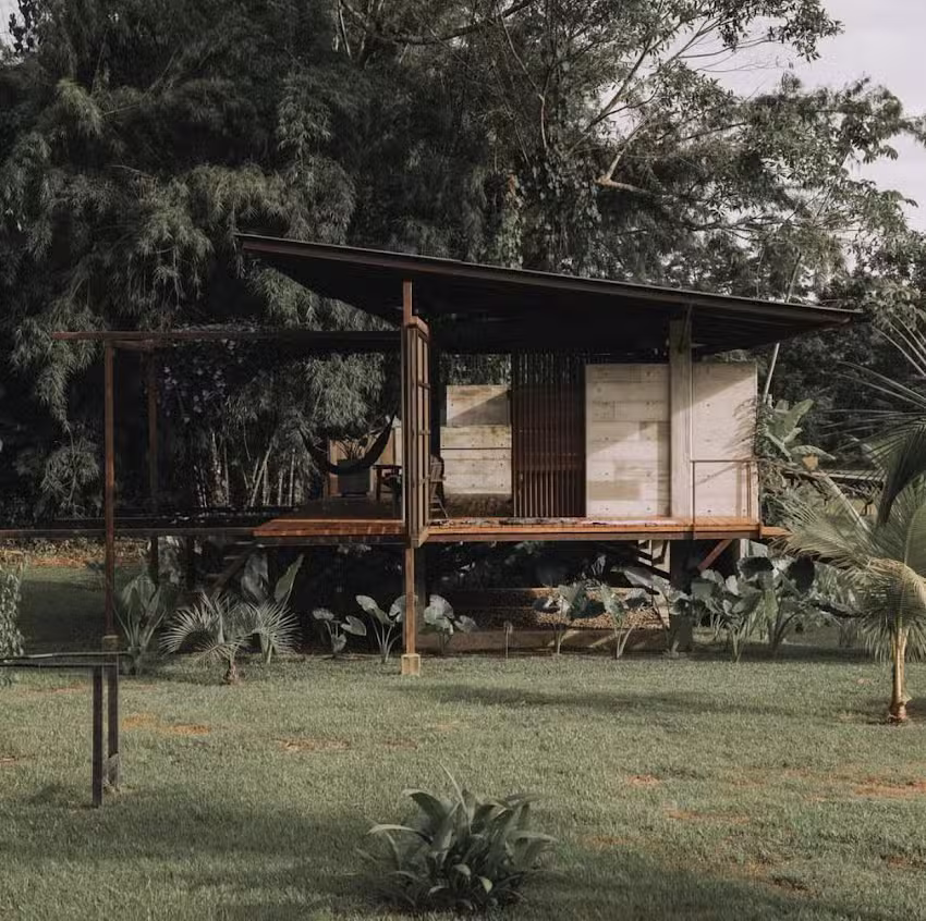 Tamagua