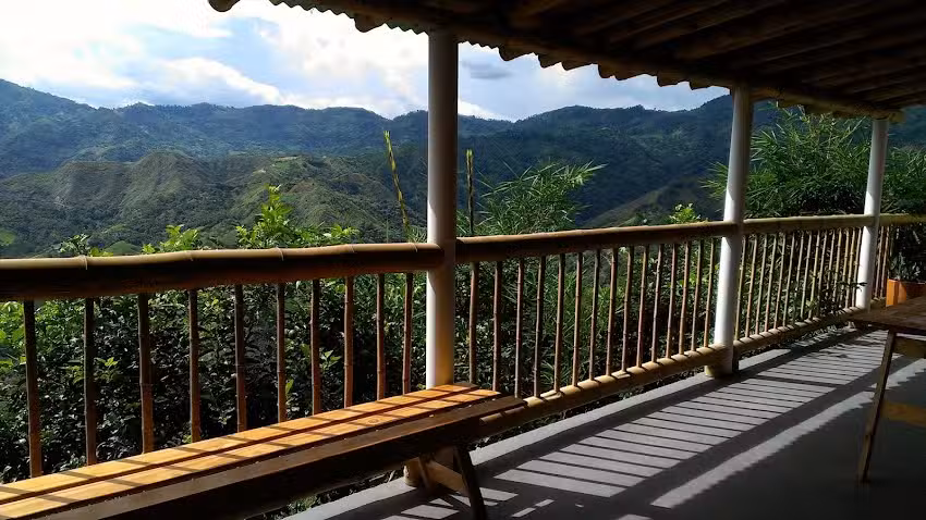 Tangara posada Campesina