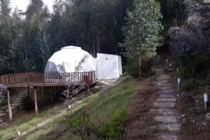 Terra Luna Glamping