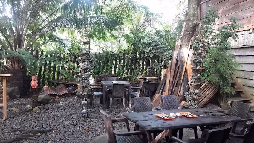 The Jungle Guest House