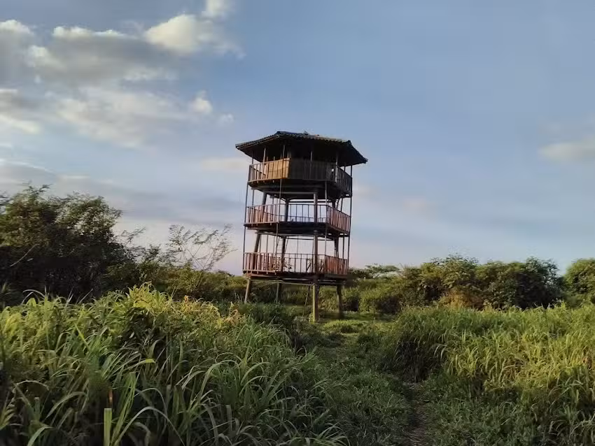 Torre de observaci&oacute;n No. 2