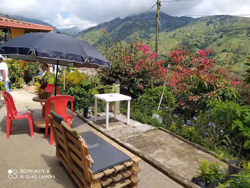 tour cafetero Medell&iacute;n