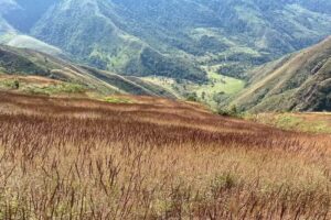TRAVEL SIERRA PERIJA, Santuario de las palmas