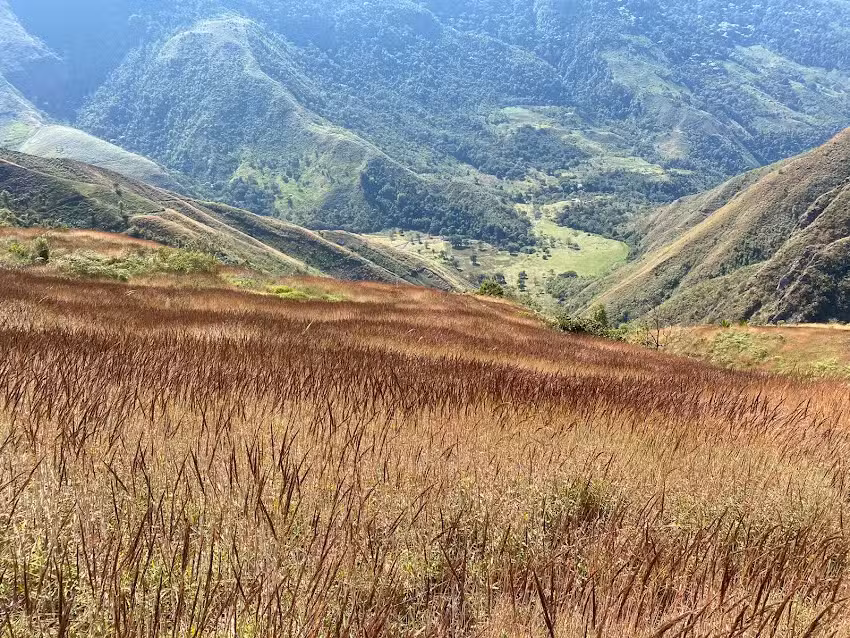TRAVEL SIERRA PERIJA, Santuario de las palmas