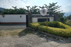 Tropical collage sas