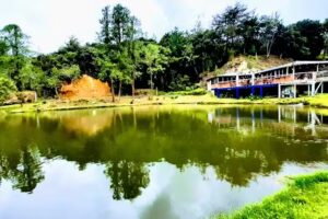 Truchera San Jos&eacute;