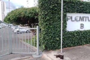 Urbanizaci&oacute;n plenitud A