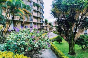 Urbanizacion Punta de Piedra P.H.