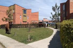 Urbanizaci&oacute;n San Fernando