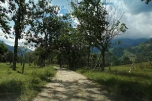 V&iacute;a hacia Montefrio y el Salto del Tigre, Puerto Rico Caquet&aacute;