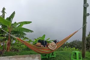 Villa &iexcl; SALOME !